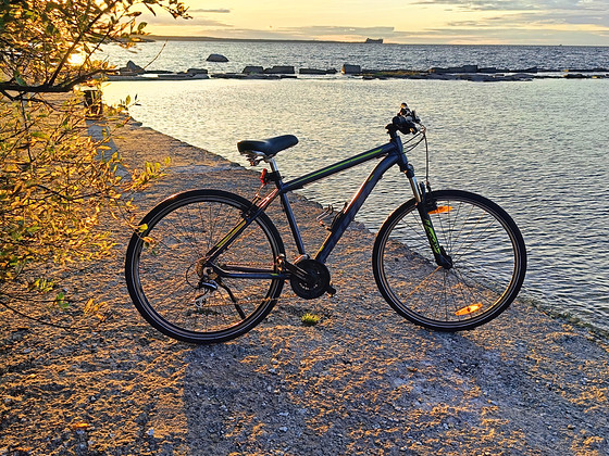 SCOTT Aspect 930 L — MTB