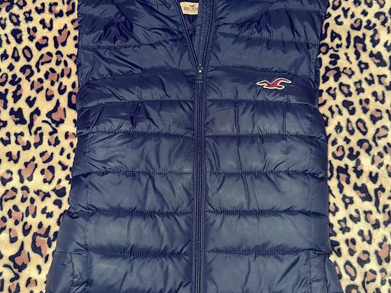 Hollister