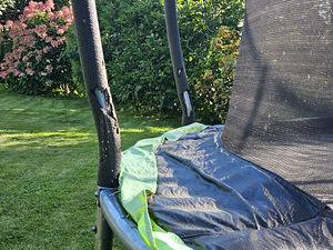 Batuut Zipro Jump Pro 12FT, 374 cm, turvavõrguga, redeliga (3 foto / 6)
