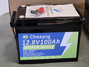 Lifepo4 12V 100Ah (1 фото из 2)