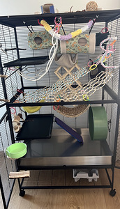 Tic tac wheel for rodents - hamster (4 foto / 5)