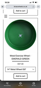 Tic tac wheel for rodents - hamster (5 foto / 5)
