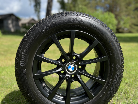 BMW veljed talverehvidega