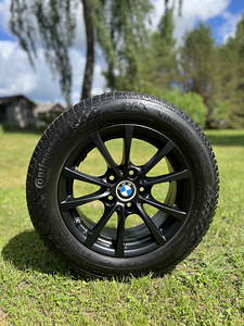 BMW veljed talverehvidega (1 foto / 5)