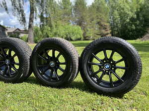 BMW veljed talverehvidega (4 foto / 5)