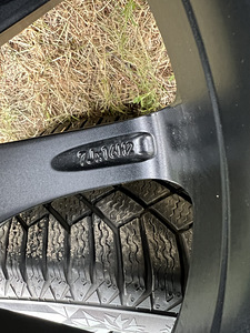 BMW veljed talverehvidega (5 foto / 5)