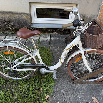 Tüdrukute jalgratas Classic Avenue 24