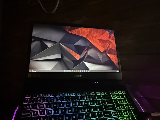 О: Acer Nitro 5