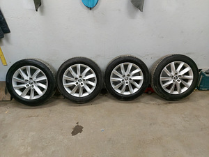 Skoda veljed (2 foto / 3)