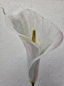 Maal (4 foto / 5)