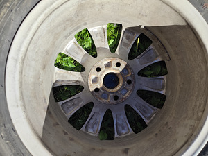 Диски Ronal Škoda + шипованные шины 215/55/17 Triangle IceLink (9 фото из 9)