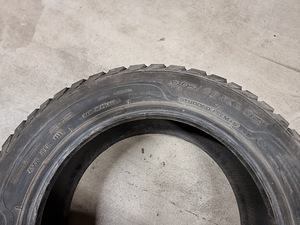 Шипованные шины Sava Eskimo 205/60R16 (3 фото из 8)