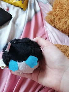 Müüa ty beanie puffies Waddles (8 foto / 8)