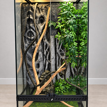 Terraarium Exo Terra 60×45×90 cm — täielik komplekt