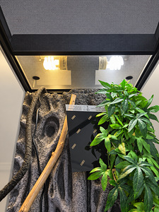 Terraarium Exo Terra 60×45×90 cm — täielik komplekt (5 foto / 5)