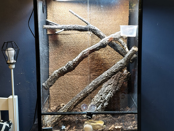 Terraario 60x45x9