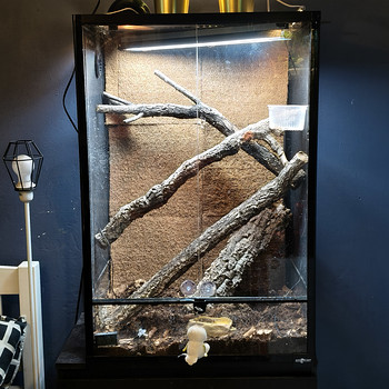 Terraario 60x45x9