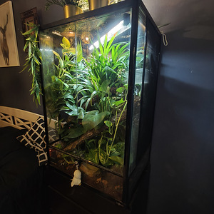 Terraario 60x45x9 (3 valokuva sivusta 3)