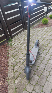 Elektritõukeratas (4 foto / 4)