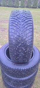 Naastrehvid / 225 55 17 / Nokian (1 foto / 1)