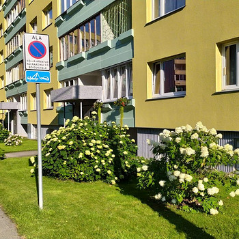 Abi õueala korrastamisel