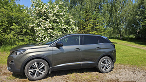 Peugeot 3008 (1 фото из 8)