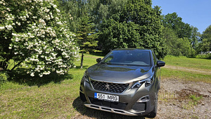 Peugeot 3008 (7 фото из 8)