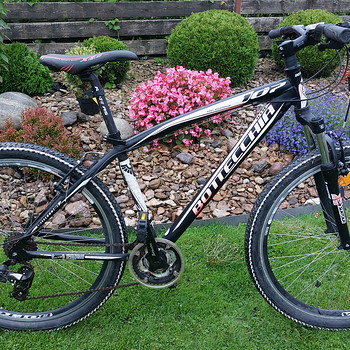 Jalgratas BOTTECCHIA