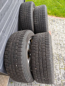 Talverehvid R17 Kia (2 фото из 7)