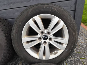 Talverehvid R17 Kia (7 фото из 7)