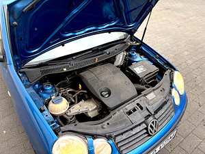 Volkswagen Polo (12 фото из 15)
