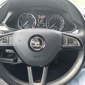 Škoda Superb 2.0 TDI (куплен новой в Эстонии) DSG Style | 2019 (3 фото из 15)