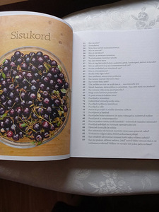 Toortoidu A ja O. Sille Poola (2 foto / 10)