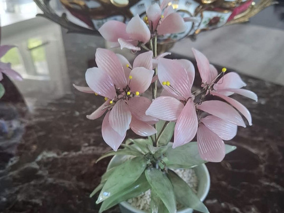 Lilled