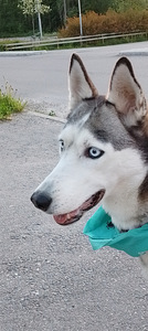 Lunalle koti (3 valokuva sivusta 4)