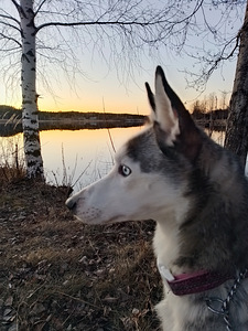 Lunalle koti (1 valokuva sivusta 4)