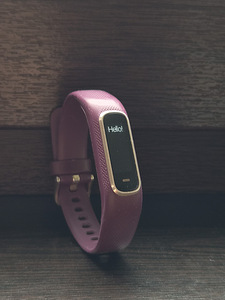 Garmin Vivosmart 4 (1 фото из 4)