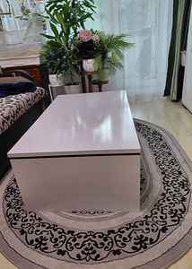 Ajakirjalaud (3 foto / 4)