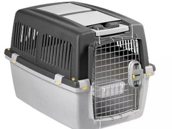 Stefanplast Gulliver 4 IATA transpordipuur, 70×45×50 cm, M