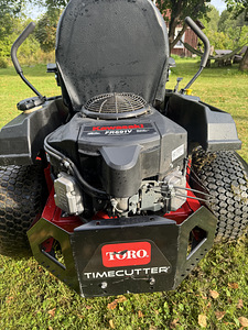 Toro (4 foto / 5)