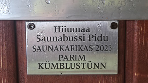 Mullisüsteemi ja LED valgustusega kümblustünn (9 foto / 9)