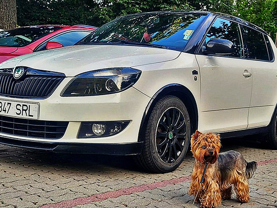 Skoda Fabia MONTE-CARLO
