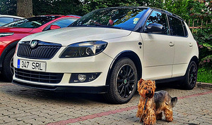 Skoda Fabia MONTE-CARLO (1 foto / 5)