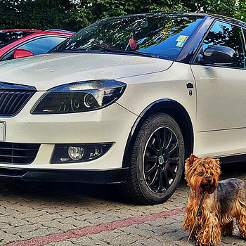 Skoda Fabia MONTE-CARLO