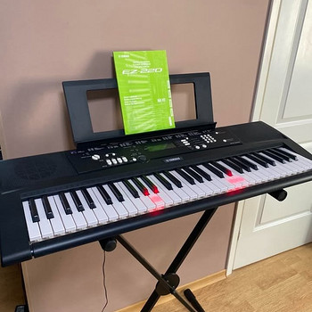 Yamaha EZ-220