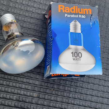 Peegellambid 100 W