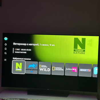 OLED LG 55
