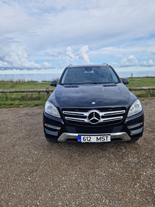 Mercedes (1 фото из 12)
