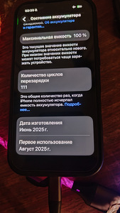 iPhone 16 Pro 128 ГБ Аккумулятор: 100% (10 фото из 10)
