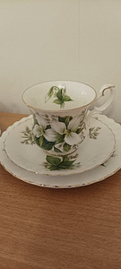 Кофейные трио Trillium Royal Albert (3 фото из 4)